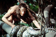 PLAION PICTURES Films Greystoke - Die Legende von Tarzan, Herr der Affen (Mediabook, Blu-ray+DVD)
