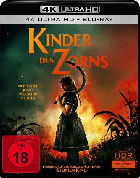 PLAION PICTURES Films Kinder des Zorns (Stephen King) (4K-UHD+Blu-ray)