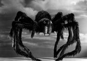 Tarantula (Blu-ray) – Bild 3– JETZT KAUFEN BEI GLACIER GAMES .at