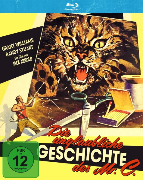 Die unglaubliche Geschichte des Mr. C (Blu-ray)– JETZT KAUFEN BEI GLACIER GAMES .at