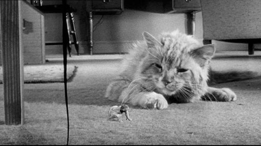 Die unglaubliche Geschichte des Mr. C (Blu-ray) – Bild 2– JETZT KAUFEN BEI GLACIER GAMES .at