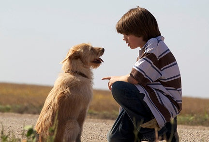 Mein Freund Smitty - Ein Sommer voller Abenteuer (DVD) – Bild 3– JETZT KAUFEN BEI GLACIER GAMES .at