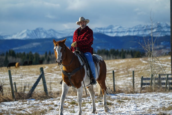 Heartland - Paradies für Pferde, Staffel 8 (Neuauflage) (6 DVDs) – Bild 5– JETZT KAUFEN BEI GLACIER GAMES .at