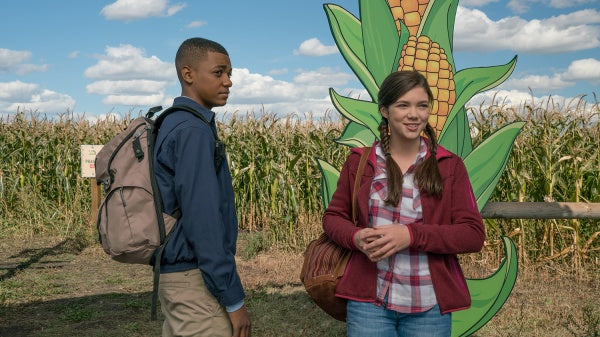 Heartland - Paradies für Pferde, Staffel 9 (Neuauflage) (6 DVDs) – Bild 2– JETZT KAUFEN BEI GLACIER GAMES .at