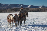 Heartland - Paradies für Pferde, Staffel 9 (Neuauflage) (6 DVDs) – Bild 5– JETZT KAUFEN BEI GLACIER GAMES .at