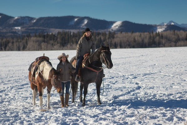 Heartland - Paradies für Pferde, Staffel 9 (Neuauflage) (6 DVDs) – Bild 5– JETZT KAUFEN BEI GLACIER GAMES .at