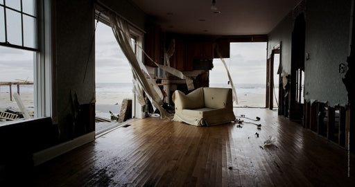 Hurricane - Im Auge des Sturms (DVD) – Bild 2– JETZT KAUFEN BEI GLACIER GAMES .at