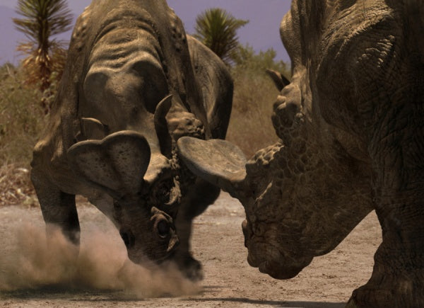 Dinosaurier - Im Reich der Giganten (Neuauflage) (5 DVDs) – Bild 2– JETZT KAUFEN BEI GLACIER GAMES .at