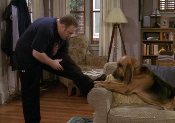 The King of Queens Staffel 9 (16:9) (3 DVDs) – Bild 2– JETZT KAUFEN BEI GLACIER GAMES .at