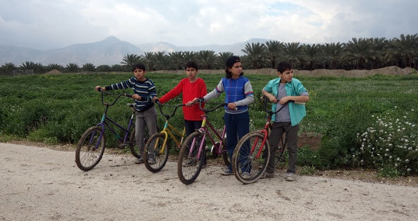 Ein Lied für Nour (Blu-ray) – Bild 2– JETZT KAUFEN BEI GLACIER GAMES .at