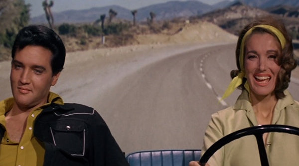 Cowboy Melodie (DVD) – Bild 3– JETZT KAUFEN BEI GLACIER GAMES .at