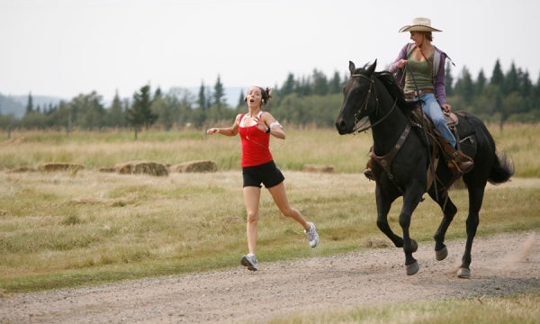 Heartland - Paradies für Pferde, Staffel 1 (Neuauflage) (4 DVDs) – Bild 5– JETZT KAUFEN BEI GLACIER GAMES .at