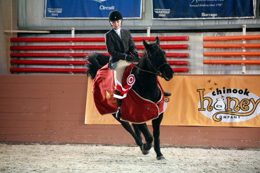 Heartland - Paradies für Pferde, Staffel 1 (Neuauflage) (4 DVDs) – Bild 2– JETZT KAUFEN BEI GLACIER GAMES .at