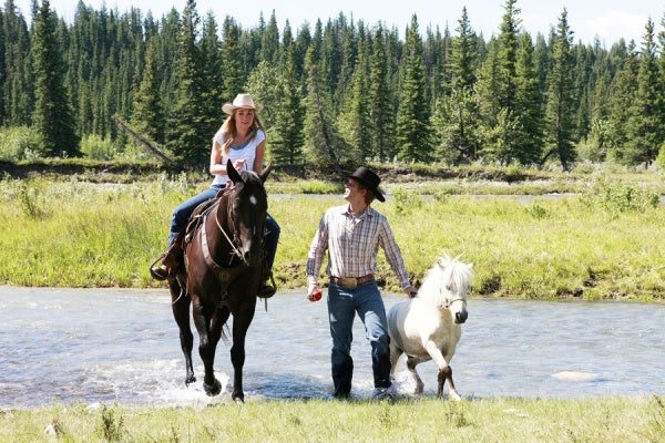 Heartland - Paradies für Pferde, Staffel 2 (Neuauflage) (6 DVDs) – Bild 2– JETZT KAUFEN BEI GLACIER GAMES .at