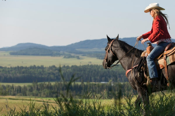 Heartland - Paradies für Pferde, Staffel 5 (Neuauflage) (6 DVDs)