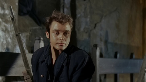 Die geheimnisvolle Insel / Mysterious Island (Blu-ray) – Bild 2– JETZT KAUFEN BEI GLACIER GAMES .at