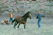 Robert Redford: Der elektrische Reiter (Blu-ray) – Bild 5– JETZT KAUFEN BEI GLACIER GAMES .at