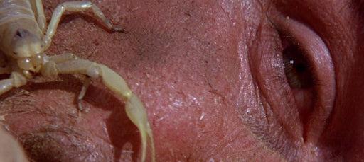 Unternehmen Capricorn - Special Edition (2 DVDs) – Bild 2– JETZT KAUFEN BEI GLACIER GAMES .at