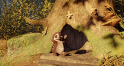 Latte Igel und der magische Wasserstein (Blu-ray) – Bild 4– JETZT KAUFEN BEI GLACIER GAMES .at