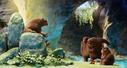 Latte Igel und der magische Wasserstein (Blu-ray) – Bild 2– JETZT KAUFEN BEI GLACIER GAMES .at