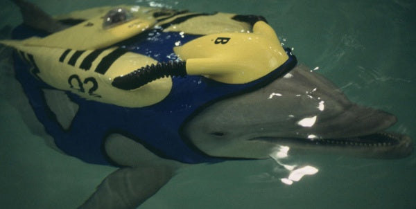 SeaQuest - Die komplette Serie (Keepcase) (16 DVDs) – Bild 6– JETZT KAUFEN BEI GLACIER GAMES .at