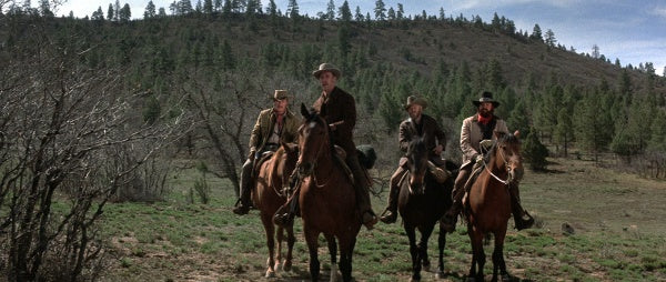 Die Geier warten schon (Showdown) (Blu-ray)