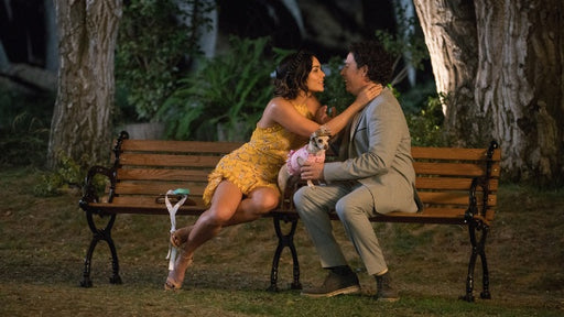 Dog Days - Herz, Hund, Happy End! (DVD) – Bild 2– JETZT KAUFEN BEI GLACIER GAMES .at