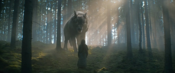 Walhalla - Die Legende von Thor (DVD) – Bild 4– JETZT KAUFEN BEI GLACIER GAMES .at