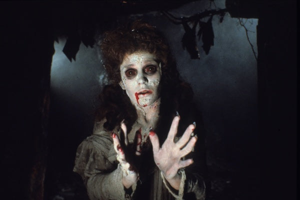 Dracula (1979) - Cinema Edition (2 DVDs) – Bild 5– JETZT KAUFEN BEI GLACIER GAMES .at