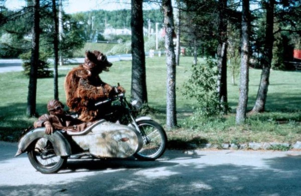 Hotel New Hampshire (Special Edition, Blu-ray+DVD) – Bild 2– JETZT KAUFEN BEI GLACIER GAMES .at