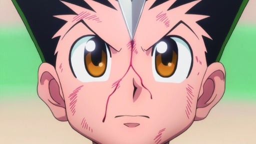 HUNTERxHUNTER - Volume 2 - Episode 14-26 (2 DVDs) – Bild 2– JETZT KAUFEN BEI GLACIER GAMES .at