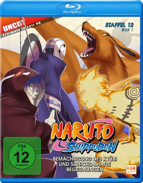 Naruto Shippuden - Bemächtigung des Kyubi und schicksalhafte Begegnungen - Staffel 12…– JETZT KAUFEN BEI GLACIER GAMES .at