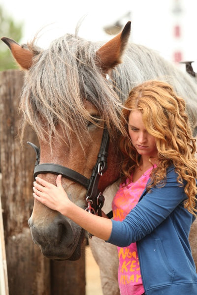 Mein Freund Shadow - Abenteuer auf der Pferdeinsel (DVD) – Bild 3– JETZT KAUFEN BEI GLACIER GAMES .at