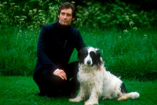 Jane Eyre (1983) - Charlotte Bronte (2 DVDs) – Bild 2– JETZT KAUFEN BEI GLACIER GAMES .at