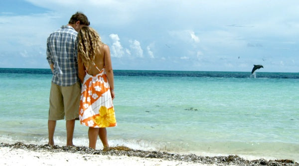 Alyssa und ihr Delphin (DVD) – Bild 4– JETZT KAUFEN BEI GLACIER GAMES .at