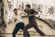 Master Z - The Ip Man Legacy (DVD) – Bild 5– JETZT KAUFEN BEI GLACIER GAMES .at