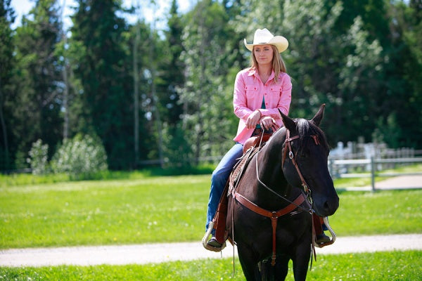 Heartland - Paradies für Pferde, Staffel 8.1 (3 DVDs) – Bild 5– JETZT KAUFEN BEI GLACIER GAMES .at