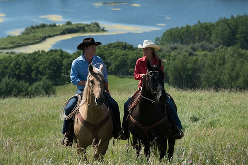 Heartland - Paradies für Pferde, Staffel 8.1 (3 DVDs) – Bild 2– JETZT KAUFEN BEI GLACIER GAMES .at