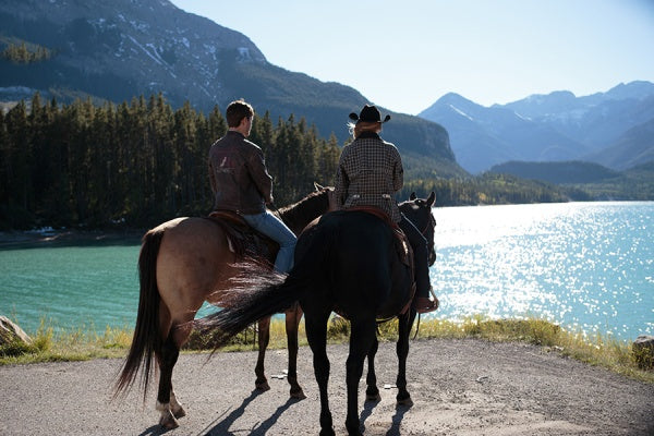 Heartland - Paradies für Pferde, Staffel 8.2 (3 DVDs) – Bild 5– JETZT KAUFEN BEI GLACIER GAMES .at