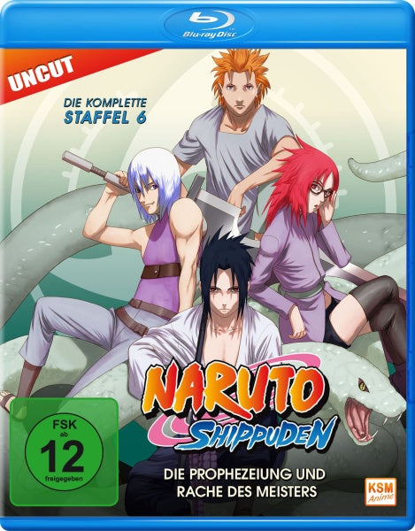 Naruto Shippuden - Die Prophezeiung und Rache des Meisters - Staffel 06: Folge 333-363…– JETZT KAUFEN BEI GLACIER GAMES .at