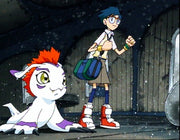 Digimon Adventure - Staffel 1 - Volume 3 - Episode 37-54 (3 DVDs) – Bild 5– JETZT KAUFEN BEI GLACIER GAMES .at