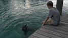 Echo, der Delphin - Eine Freundschaft fürs Leben (Blu-ray) – Bild 3– JETZT KAUFEN BEI GLACIER GAMES .at