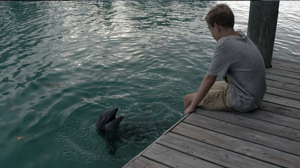 Echo, der Delphin - Eine Freundschaft fürs Leben (Blu-ray) – Bild 3– JETZT KAUFEN BEI GLACIER GAMES .at