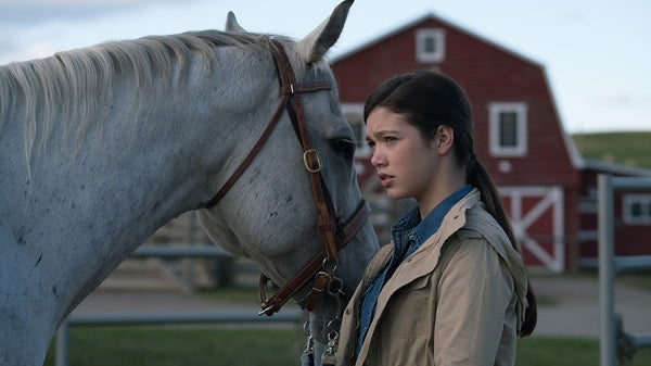 Heartland - Paradies für Pferde, Staffel 9.2 (3 DVDs) – Bild 3– JETZT KAUFEN BEI GLACIER GAMES .at