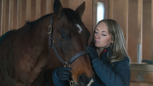 Heartland - Paradies für Pferde, Staffel 9.2 (3 DVDs) – Bild 5– JETZT KAUFEN BEI GLACIER GAMES .at
