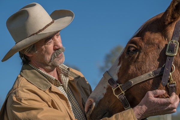 Heartland - Paradies für Pferde, Staffel 9.1 (3 DVDs) – Bild 4– JETZT KAUFEN BEI GLACIER GAMES .at