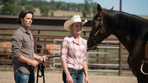 Heartland - Paradies für Pferde, Staffel 11.1 (3 DVDs) – Bild 2– JETZT KAUFEN BEI GLACIER GAMES .at