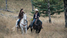 Heartland - Paradies für Pferde, Staffel 11.2 (3 DVDs) – Bild 4– JETZT KAUFEN BEI GLACIER GAMES .at