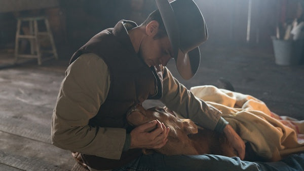 Heartland - Paradies für Pferde, Staffel 11.2 (3 DVDs) – Bild 6– JETZT KAUFEN BEI GLACIER GAMES .at