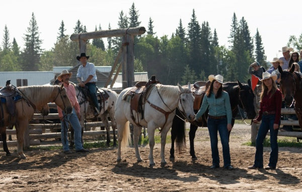 Heartland - Paradies für Pferde, Staffel 12 (4 DVDs) – Bild 6– JETZT KAUFEN BEI GLACIER GAMES .at